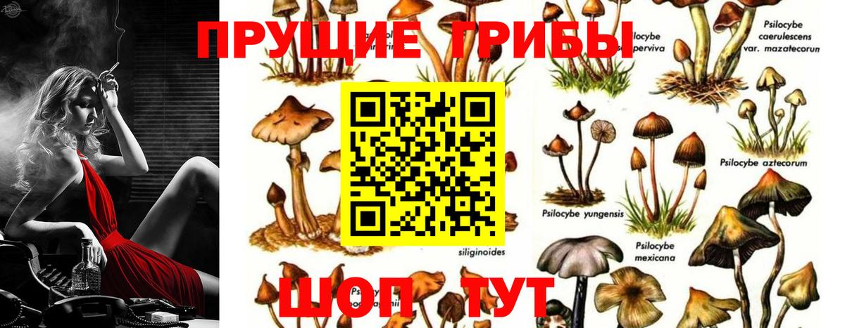 Галлюциногенные грибы Cubensis  Галлюциногенные грибы ЛСД  Сызрань  Вход с VPN 